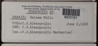 Image Associated With the Occurence